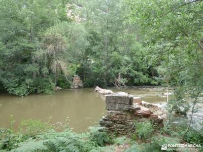 Sedano,Loras-Cañones Ebro,Rudrón;refugio de gredos actividades para singles montejo de la sierra m